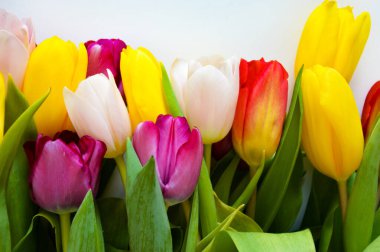 Renkli lalelerden bir buket. Güzel bahar çiçekleri. Paskalya tatili için dekorasyon arkaplanı.