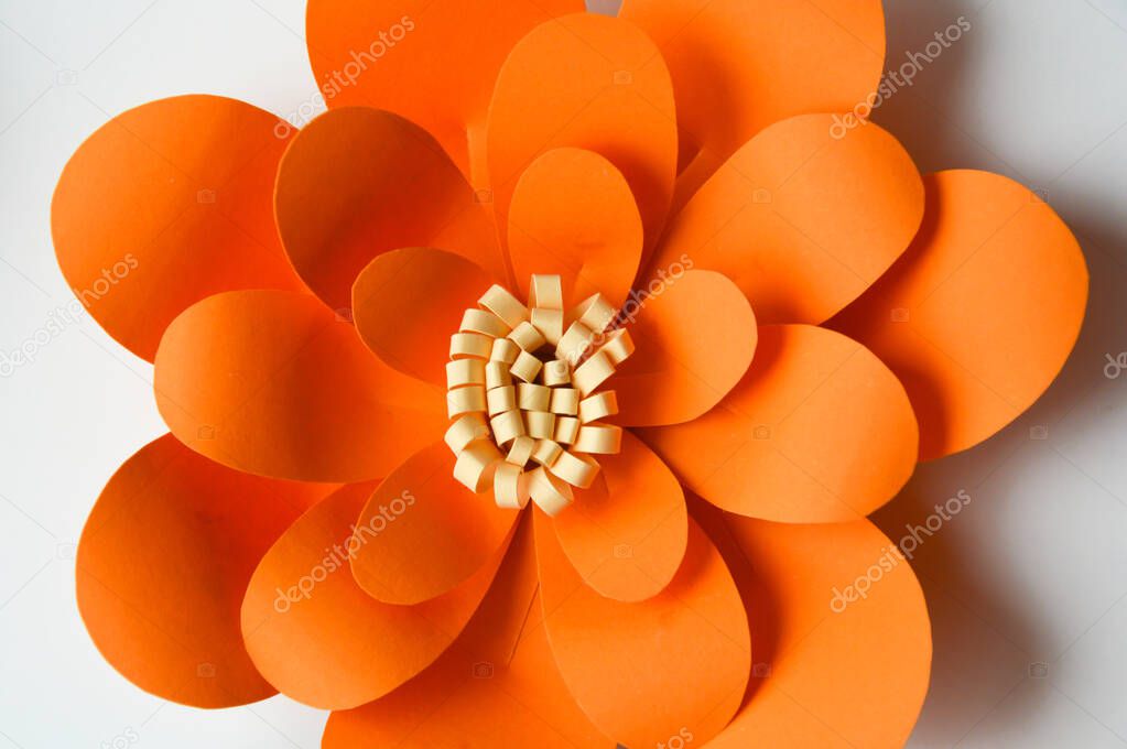 orange paper flower. interior decor made of paper. background for the design.