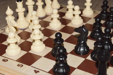 Satranç. Beyinler için bir masa oyunu, strateji. siyah ve beyaz figürler.