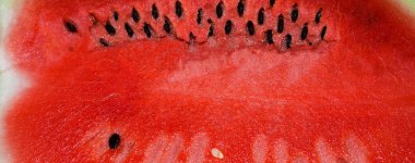 taze, sulu, kırmızı, tohumlu olgun karpuz. Yaz. Tasarım için arka plan. Vitamin, vejetaryen yemekleri..