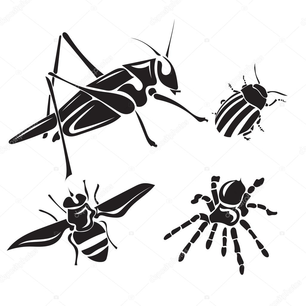 Insect collection - vector silhouette