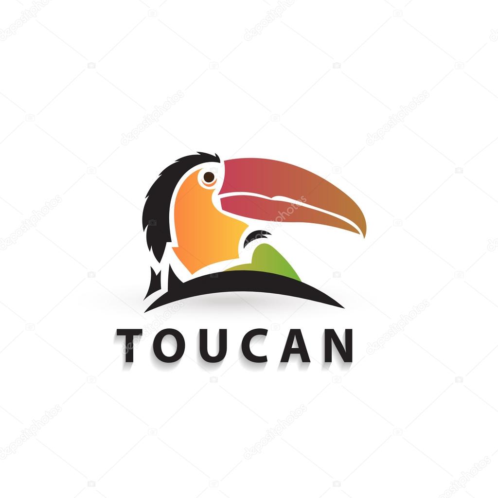 Vector colorful stylized silhouette toucan. Artistic creative design. Elegant bird logo icon.