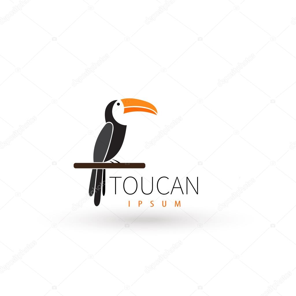 Stylized toucan logo design template. Artistic bird silhouette. Creative concept logotype for your company. Vector illustration.