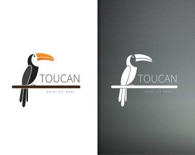 vektör toucan logo tasarım şablonu. sanatsal kuş siluet. Şirketiniz için yaratıcı kavramı logo.