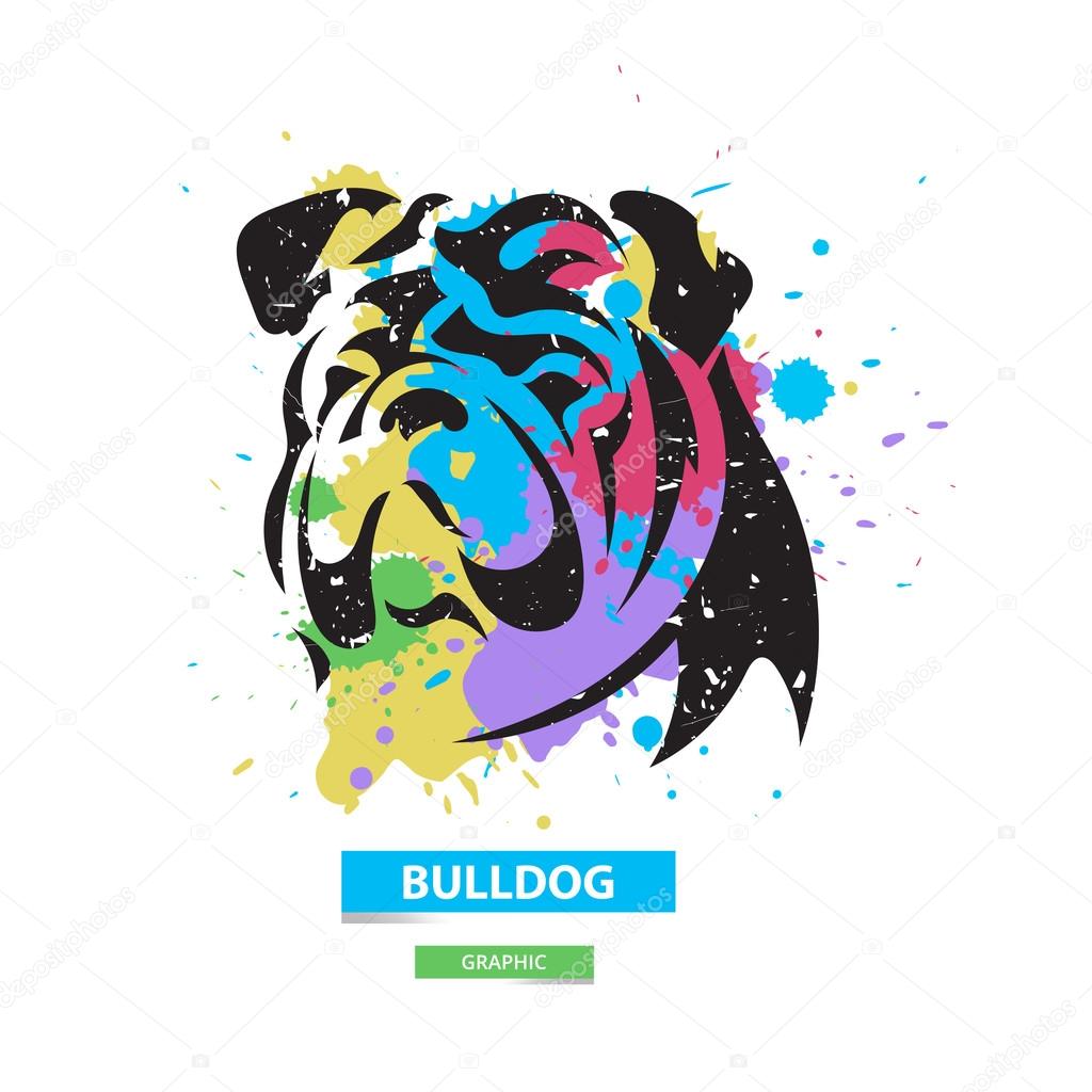 Artistic bulldog on the colorful blots background. Stylized graphic illustration. Vector wild animal.