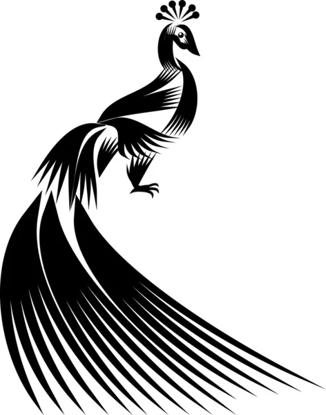 Pavo real — Vector de stock