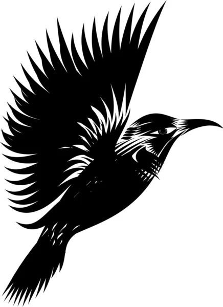 Colibri noir et blanc — Image vectorielle