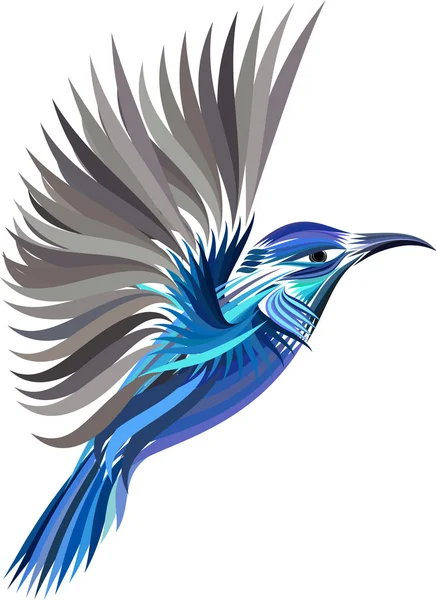 Gekleurde kolibrie — Stockvector