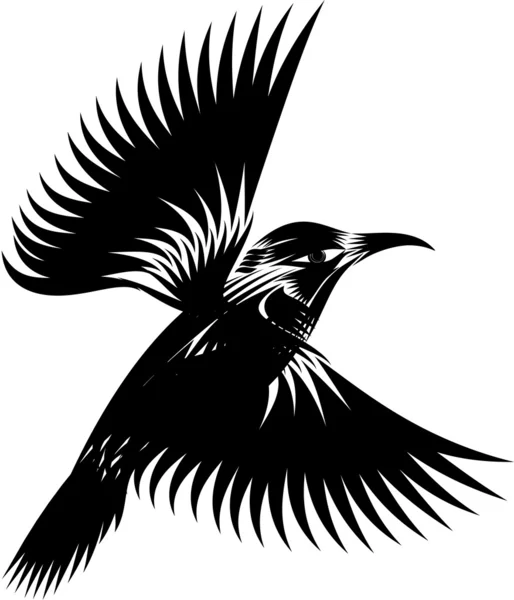 Colibri noir et blanc — Image vectorielle