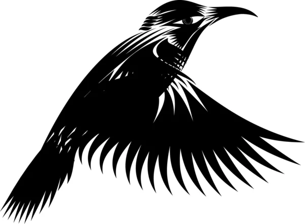 Colibrí blanco y negro — Vector de stock