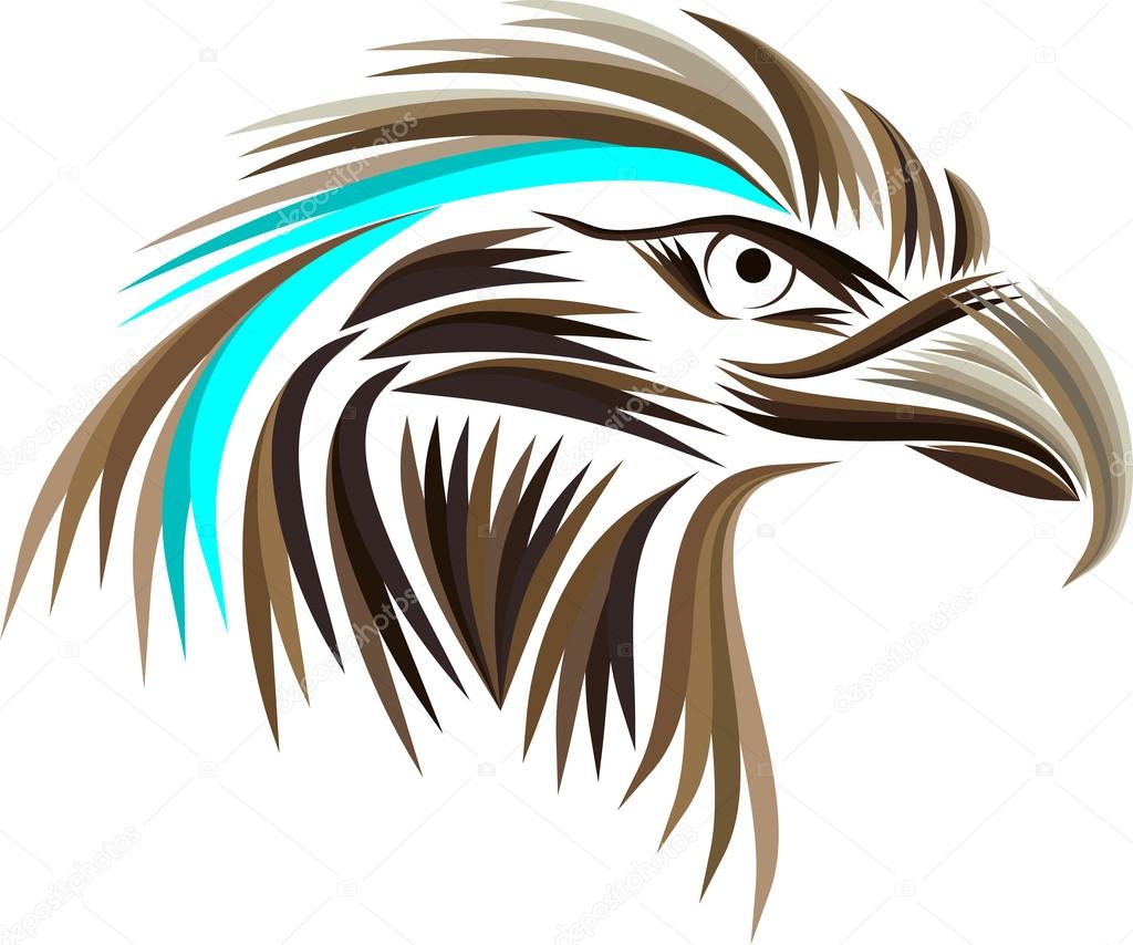 Colored head eagle on white background