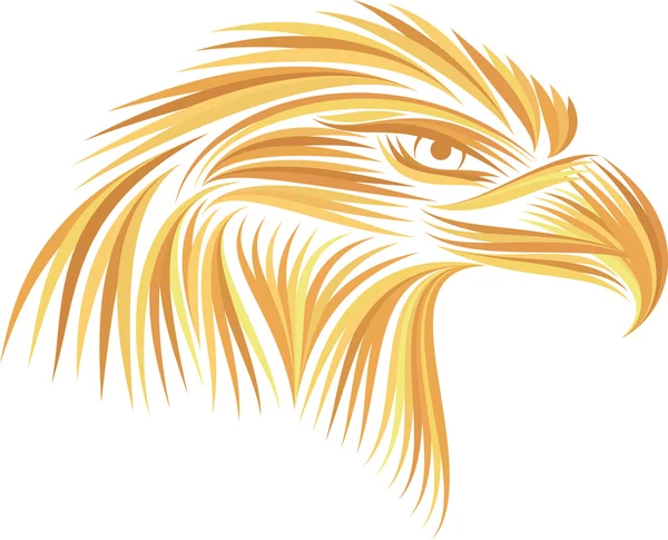 Beyaz arka plan üzerinde renkli kafa kartal