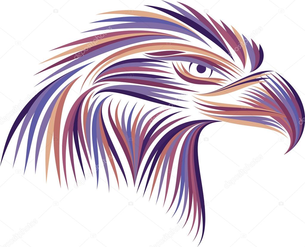 Colored head eagle on white background