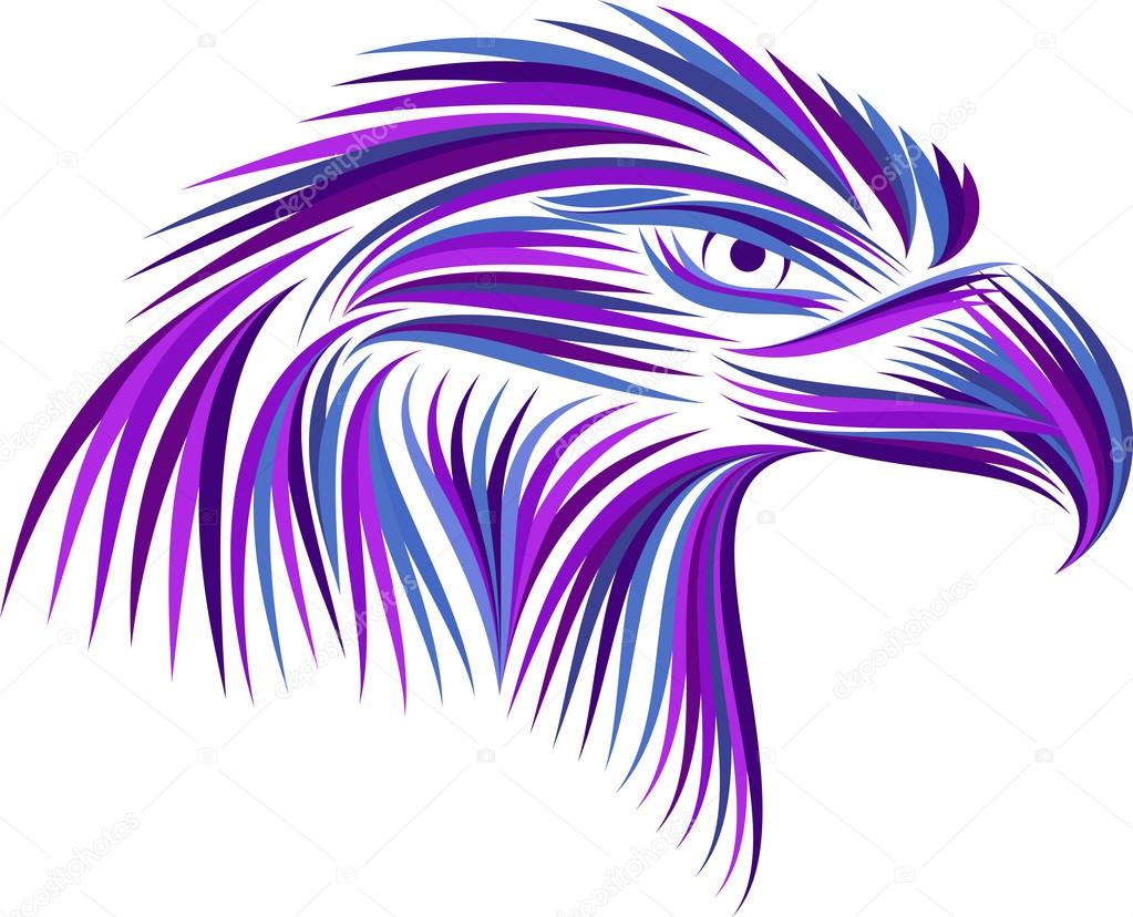 Colored head eagle on white background