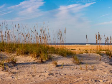 St. Augustine Florida 'daki Anastasia Eyalet Parkı' nda kumlu kum tepesi ve plajı açık mavi ve bulutlu bir gökyüzü ile altın saat ışığı altında. Güzel ve canlı bir manzara..