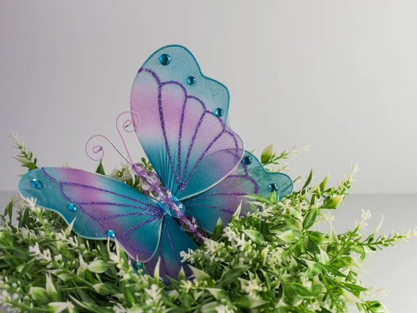 Большая Синяя Фиолетовая Бабочка Драгоценными Камнями Сидящими Зеленом Белом Растении — стоковое фото