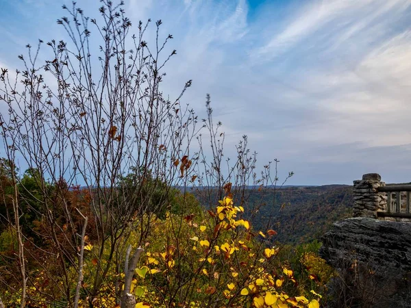クーパー ロックは 遠くに青い空 岩の崖 そしてすべての葉の木がある日没の直前に ウェストバージニア州のクーパー ロック州立の森で見過ごす — ストック写真
