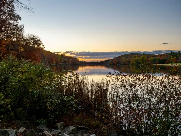 Günbatımı Keystone Gölü 'nde Keystone Eyalet Parkı' nda Batı Moreland County, Laurel Highlands, Pennsylvania 'da, güneş suyun üzerinde batıyor, ön planda bitkiler ve renkli bir gökyüzü var..