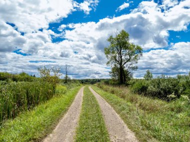 Kırmızı parıldayan kalplerle dolu beyaz vazo kırmızı, pırıl pırıl bir kalp çelengi ve ringa kemiğinden bir tezgahın arka planında tahta kalp çelengi..