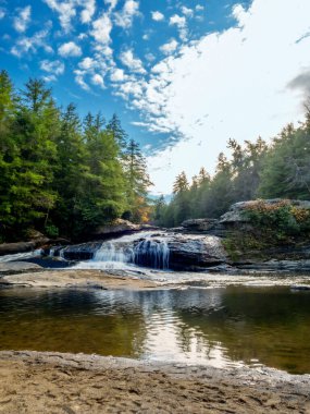 Swallow Falls Eyalet Parkı sonbaharda Maryland dağlarında dere ve şelalelerin aktığı, doğada şelalelerin çağladığı, yaprakların döküldüğü ve ağaçların döküldüğü mükemmel bir sonbahar manzarası yaratmak için..