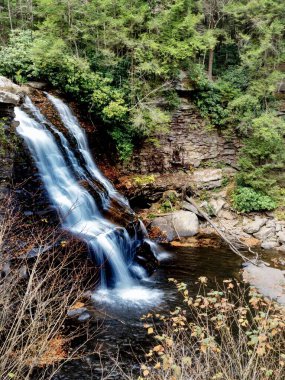 Swallow Falls Eyalet Parkı sonbaharda Maryland dağlarında dere ve şelalelerin aktığı, doğada şelalelerin çağladığı, yaprakların döküldüğü ve ağaçların döküldüğü mükemmel bir sonbahar manzarası yaratmak için..