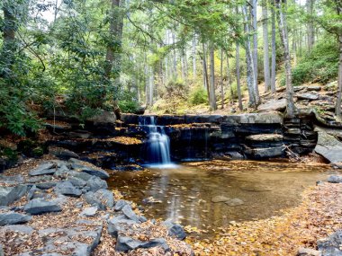 Swallow Falls Eyalet Parkı sonbaharda Maryland dağlarında dere ve şelalelerin aktığı, doğada şelalelerin çağladığı, yaprakların döküldüğü ve ağaçların döküldüğü mükemmel bir sonbahar manzarası yaratmak için..