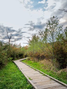 Pensilvanya 'da Canoe Creek Eyalet Parkı' nda sonbaharın başlarında mavi bir gökyüzü, ağaçlar ve su boyunca çimenler.  