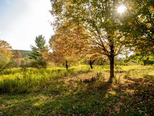 Canoe Creek State Park Pennsylvania Frühherbst Mit Blauem Himmel Und — Stockfoto