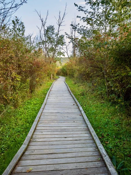 Pensilvanya 'da Canoe Creek Eyalet Parkı' nda sonbaharın başlarında mavi bir gökyüzü, ağaçlar ve su boyunca çimenler.  