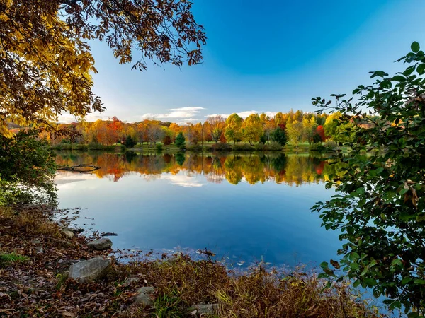 Keystone Gölü Keystone Eyalet Parkı Batı Moreland İlçesi 'nde sonbaharda Pennsylvania Laurel Highlands' da günbatımından hemen önce sonbahar yaprakları ve ağaçlar suya yansıyor..