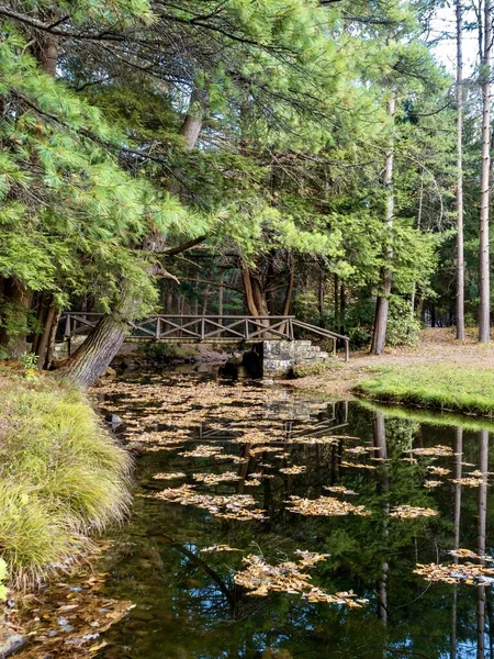 Clear Creek State Park Der Nähe Von Clarion Pennsylvania Herbst — Stockfoto