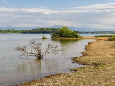 Douglas Gölü ilkbaharda Tennessee 'de. Arka planda Büyük Smoky Dağları, su ve kumlu kıyılar. Uzakta bulutlarla dolu mavi bir gökyüzü..  