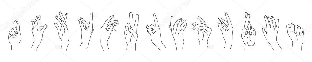 Set of linear vector woman hands isolated on white background. Female hands collection of different elegant gestures. Line art for logo design, trendy minimal style Stock Illustration
