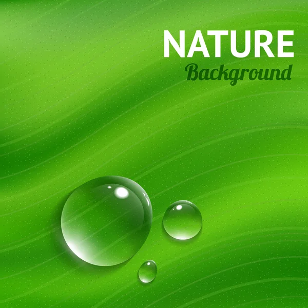 Fondo natural con gotas de agua transparentes — Vector de stock