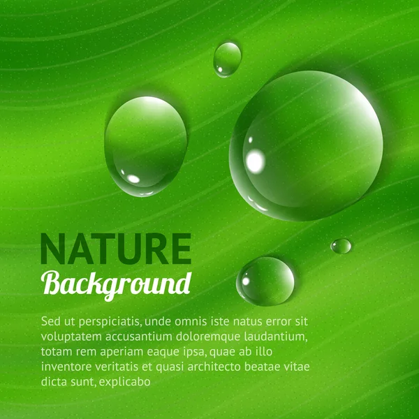 Nature background with transparent water drops — Stock Vector