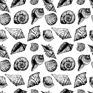 Hand drawn seamless pattern with various seashells clipart