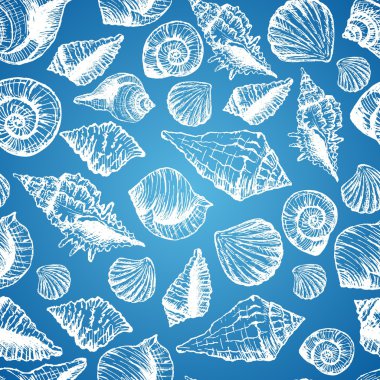 Hand drawn seamless pattern with various seashell clipart