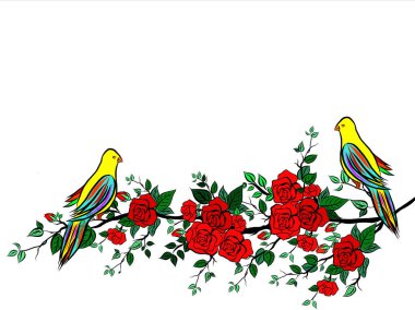 Beyaz arka planda güzel gül buketi çiçekleri büyüyor, el çizimi, düz dizaynlı resimlerle yaratıcı. Çiçek deseni, duvar kağıtları için dekoratif serisi. Sevgililer Günü konsepti..