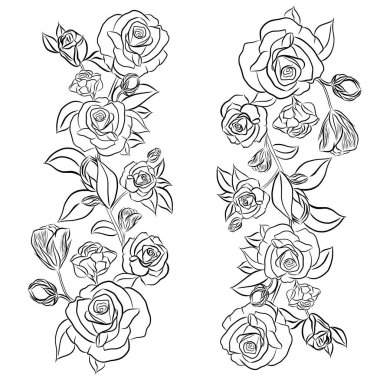 Beyaz arka planda güzel gül buketi çiçekleri büyüyor, el çizimi, düz dizaynlı resimlerle yaratıcı. Çiçek deseni, duvar kağıtları için dekoratif serisi. Sevgililer Günü konsepti..