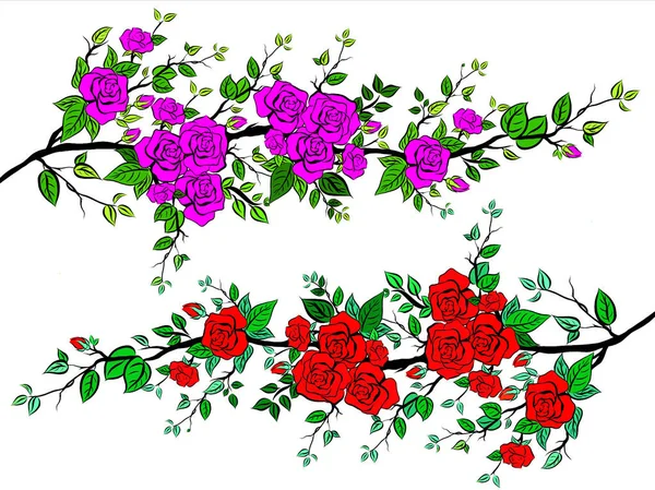 Gyönyörű Rózsa Csokor Virágok Növekedését Fehér Háttér Kézzel Rajzolt Kreatív — Stock Fotó