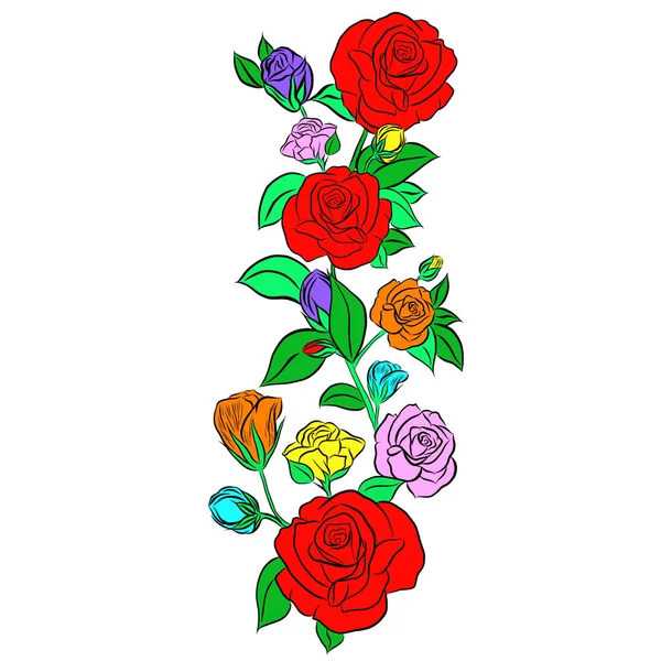 Schöne Rosenstrauß Blumen Wachstum Auf Weißem Hintergrund Von Hand Gezeichnet — Stockfoto