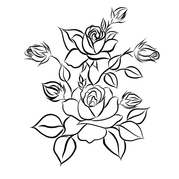 Beautiful Rose Bouquet Flowers Growth White Background Hand Drawn Creative Лицензионные Стоковые Фото