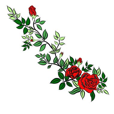 Beyaz arka planda güzel gül buketi çiçekleri büyüyor, el çizimi, düz dizaynlı resimlerle yaratıcı. Çiçek deseni, duvar kağıtları için dekoratif serisi. Sevgililer Günü konsepti..