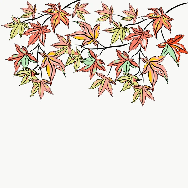 Beautiful Colorful Maple Leaves Growth White Background Free Space Your Лицензионные Стоковые Изображения