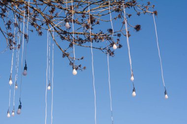 Parkta asılı ampuller ve arka planda mavi gökyüzü