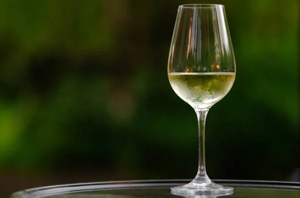 Copo Vinho Branco Mesa Com Fundo Verde Jardim — Fotografia de Stock