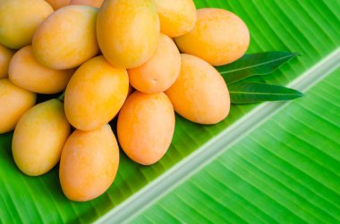 Marian eriği ya da Ma Yong Chid (Taylandca) eriğe benzer ama tadı muz yaprağı arkaplanındaki mango gibidir..