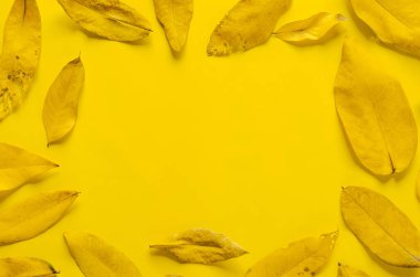 Sarı kuru yapraklar arka plan.