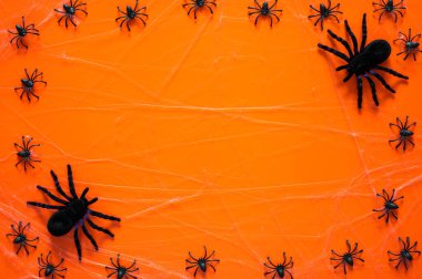 Halloween background with big and small spiders on cobweb on orange background. Minimal concept.