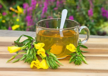 Clear cup of herbal tea from evening primrose. clipart